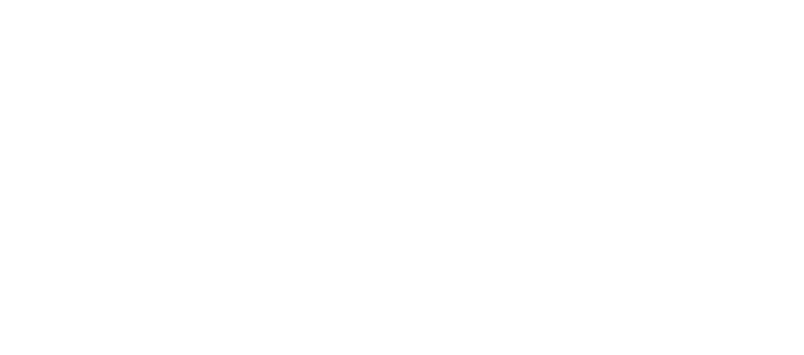 Logo ASIAN HYPE