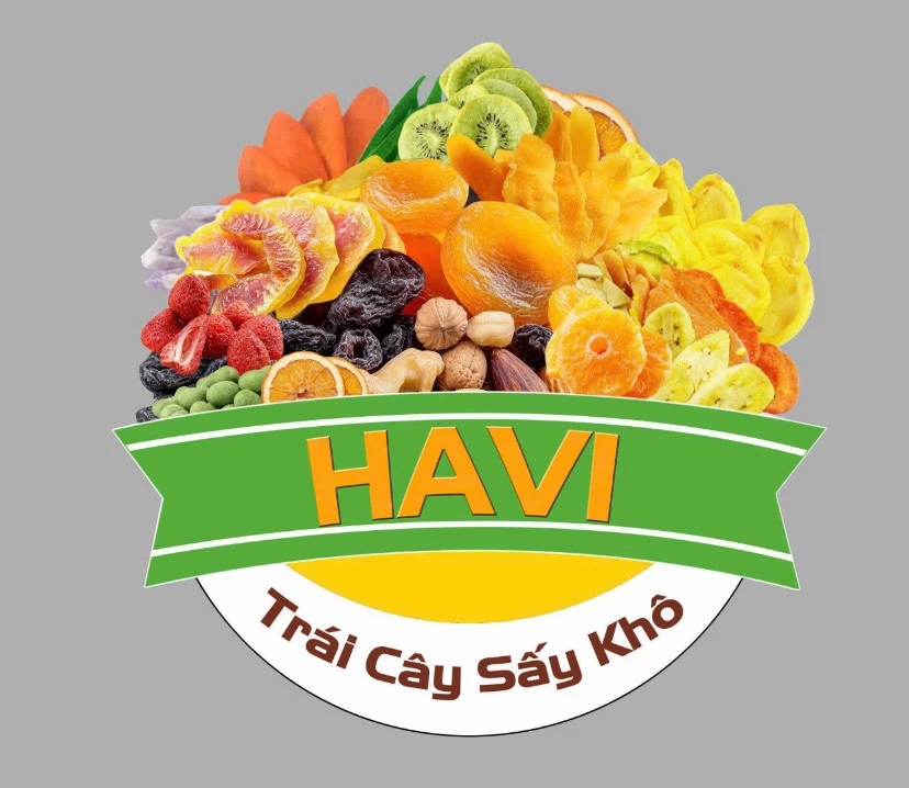 logo HAVI